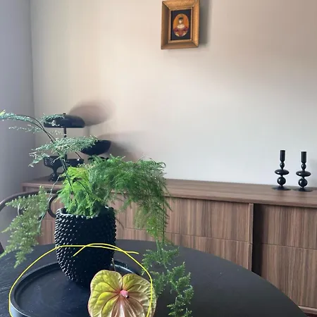 Apartment Entu Odrzanska Breslau